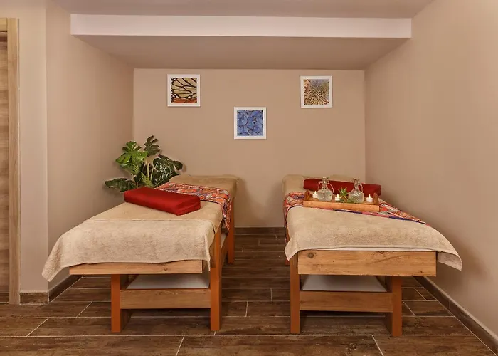 Optimum Luxury Hotel&spa Hotel