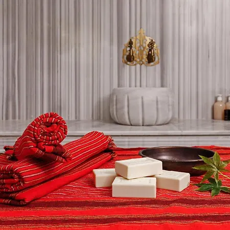 Hotel Optimum Luxury Hotel&spa *