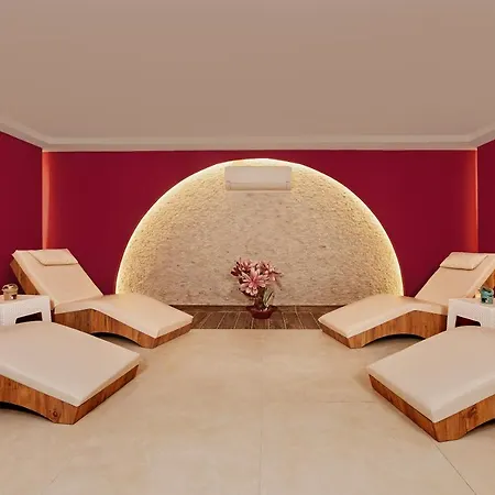 Optimum Luxury Hotel&spa 酒店